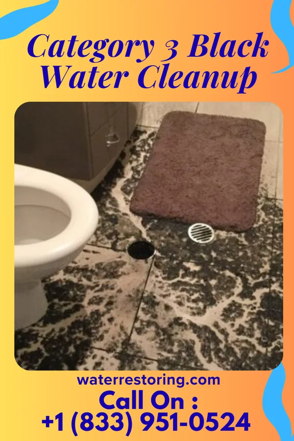 Category 3 Black Water Cleanup in D'Iberville, MS