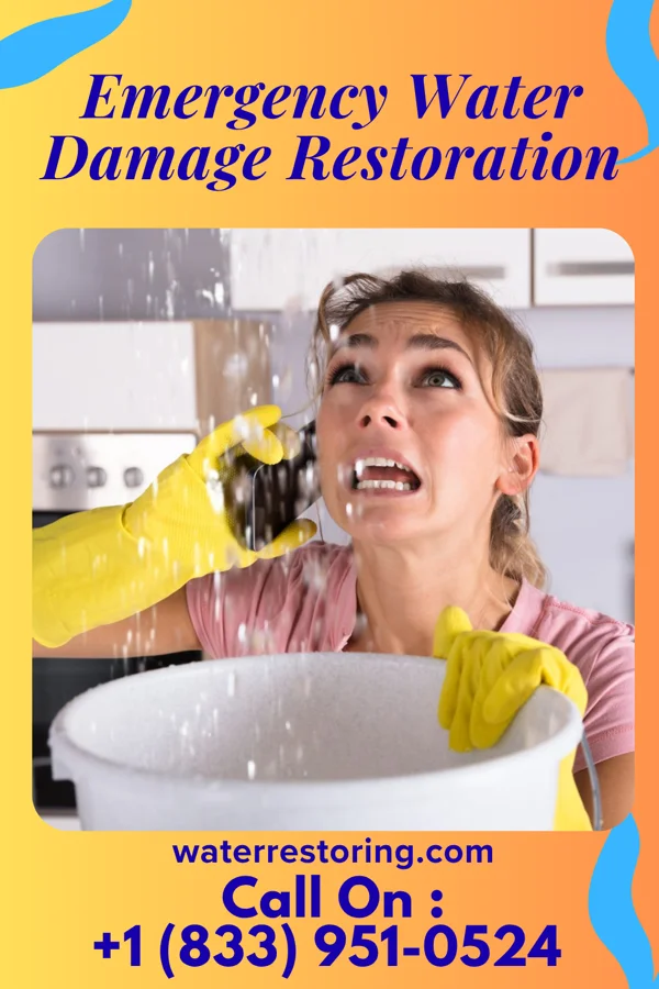 Emergency Water Damage Restoration in D'Iberville, MS