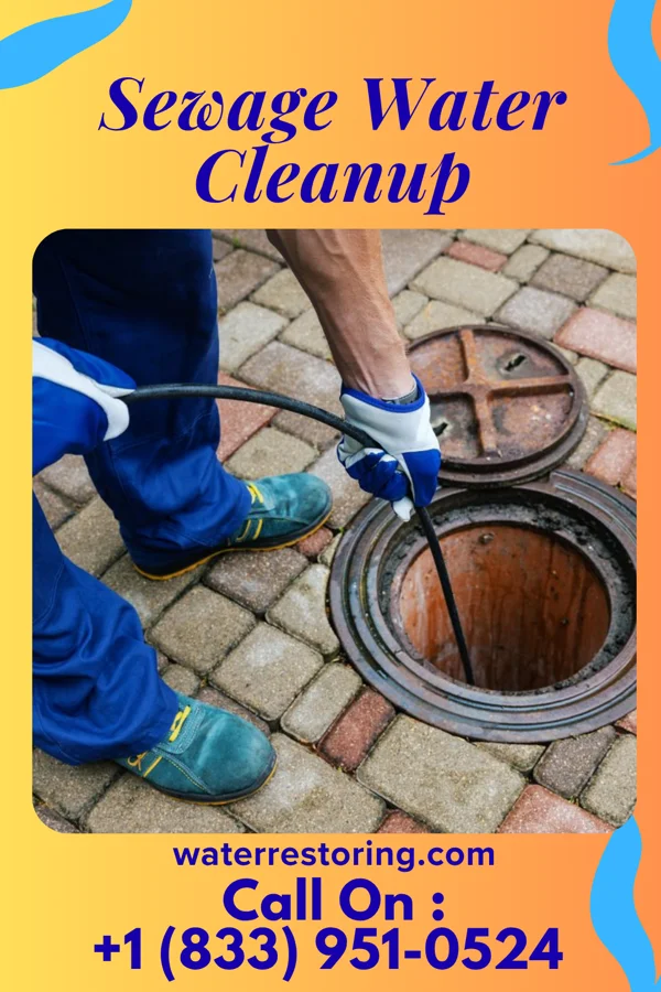 Sewage Water Cleanup in D'Iberville, MS