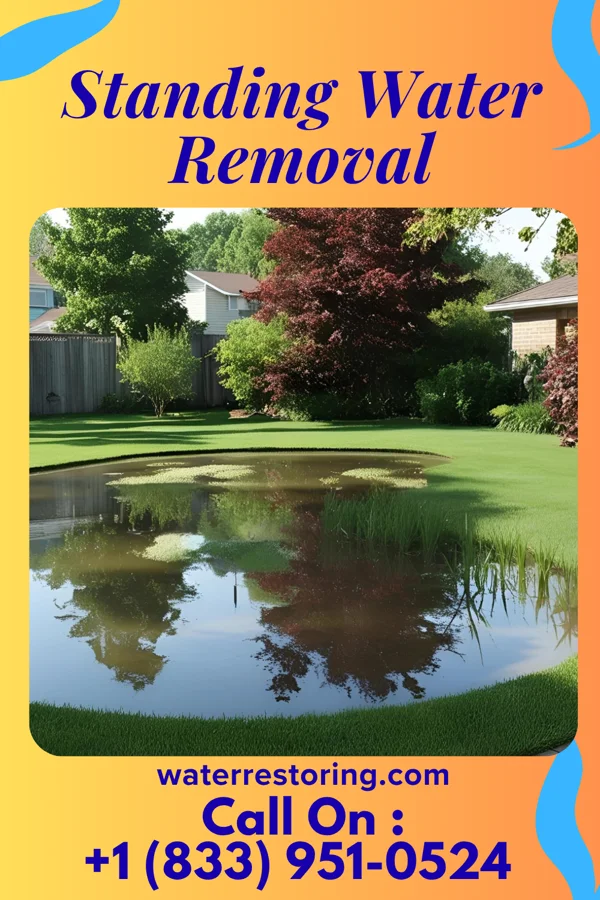 Standing Water Removal in D'Iberville, MS